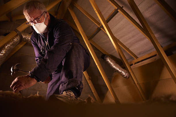 Best Insulation Installation Services in St George, UT